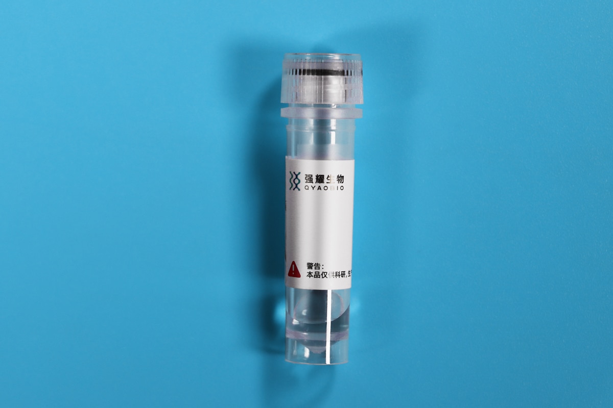 Recombinant Protein Services — 1.Native Protein 1200